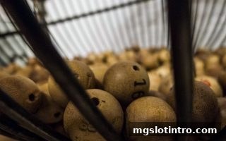 mg电子游戏介绍：冷热号码选号逻辑与概率误区全解析