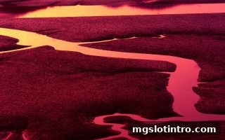 mg电子游戏介绍：热门与冷门号码的深度解析与选号策略指南