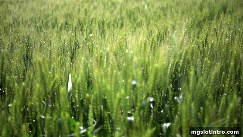 mg电子游戏介绍：主流电子游艺厂商玩法对比与RTP深度解析