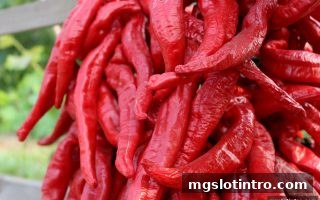 mg电子游戏介绍：飞禽走兽不计得失红利活动真实玩家反馈与经验全解析