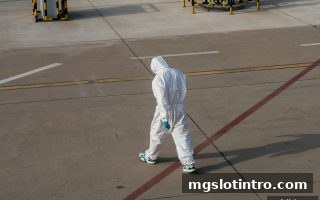 生日礼金领取全攻略：mg电子游戏介绍下如何做好尽职调查