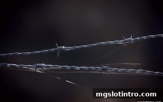mg电子游戏介绍：全面拆解娱乐平台的虚假宣传陷阱