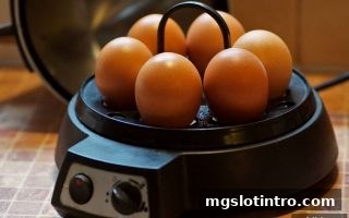 探秘数字游艺：mg电子游戏介绍中的转轴与捕鱼玩法全解析