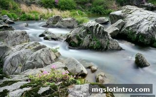 mg电子游戏介绍：麻将胡了足球直播赛季评论的全新体验与深度解读