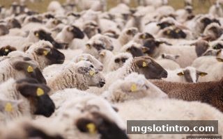 mg电子游戏介绍：英超赛程查询工具为何成为球迷首选？——深度解析高效查询之道